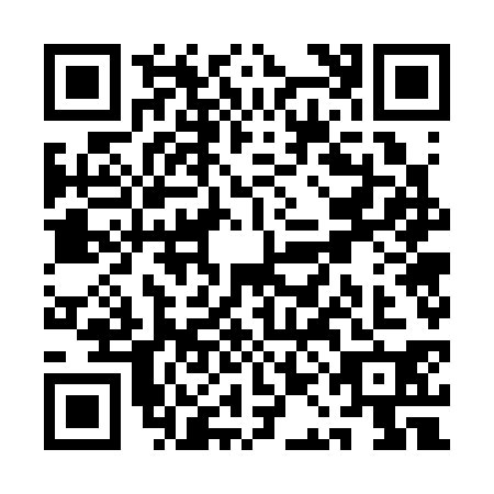 QR code for QAG3303
