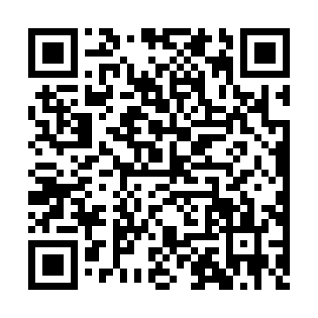 QR code for QAV3838