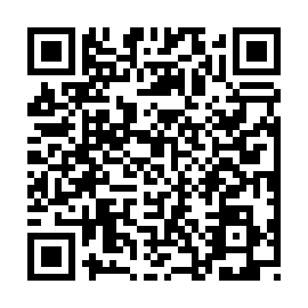 QR code for QCG0384