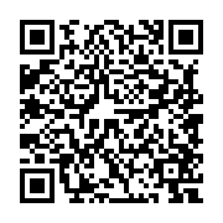 QR code for QCT8460