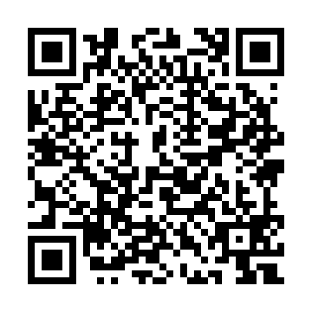 QR code for QDI2999