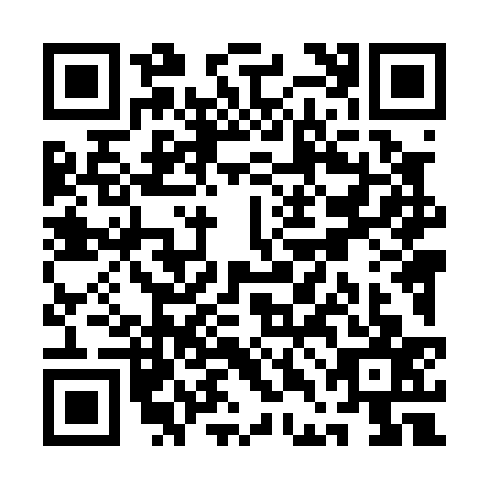 QR code for QDL0379