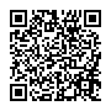 QR code for QDL9565