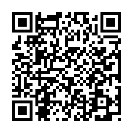 QR code for QDN0313