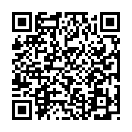 QR code for QDN9397