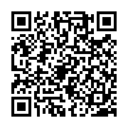QR code for QDQ4335