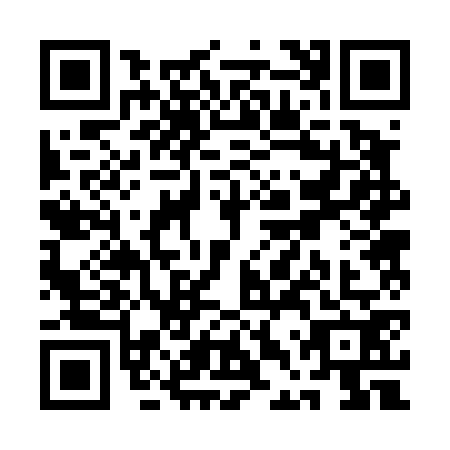 QR code for QDR4729