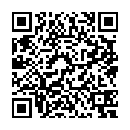 QR code for QFI0383