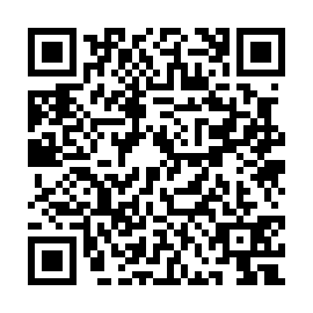 QR code for QFK0311