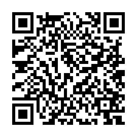 QR code for QGB9038