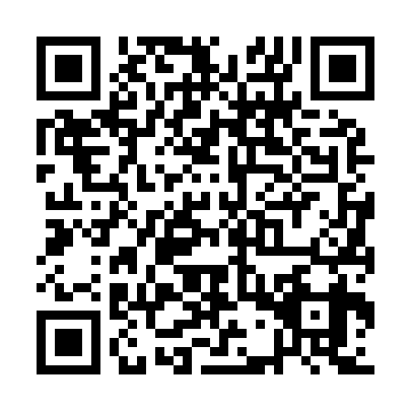 QR code for QGV9395