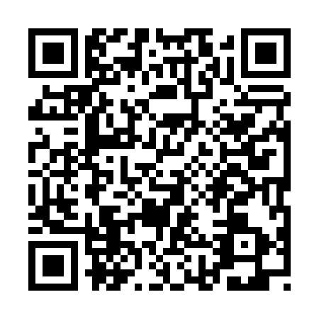 QR code for QHY0938