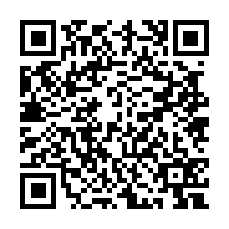 QR code for QJJ0368