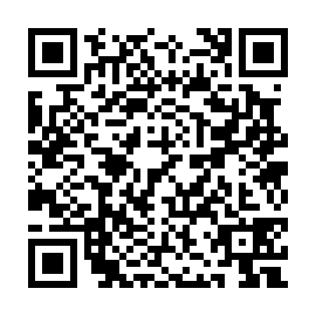 QR code for QJS0387