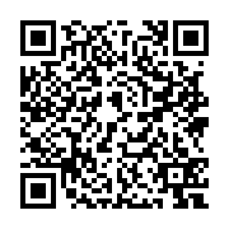 QR code for QJY1339