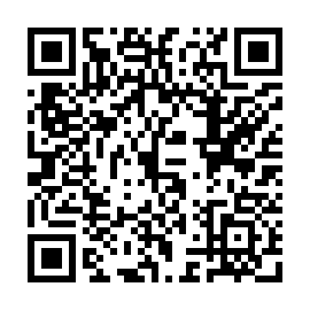 QR code for QLR9333