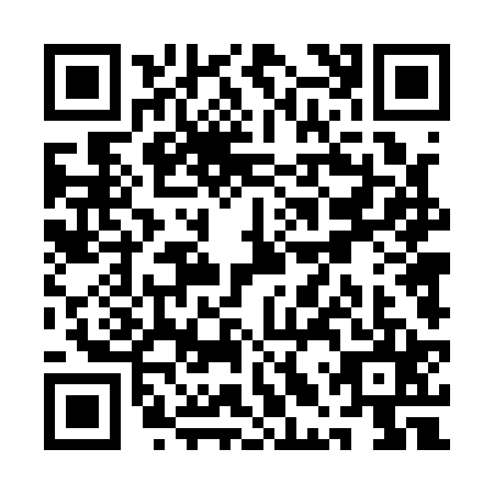 QR code for QLT1253