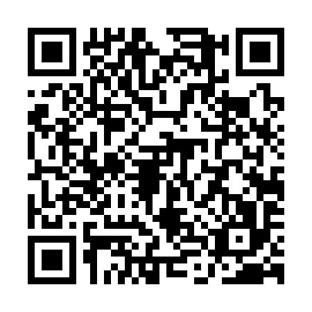 QR code for QLT3967