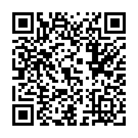 QR code for QLY1313