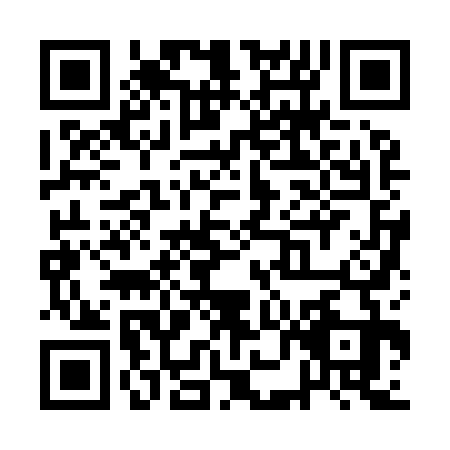 QR code for QNJ9333