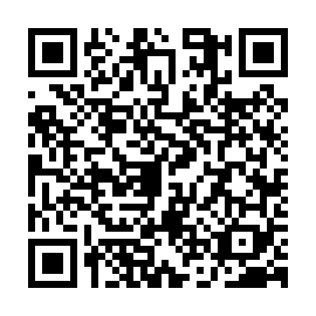 QR code for QNV0699