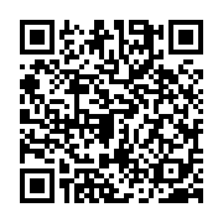 QR code for QNZ8194