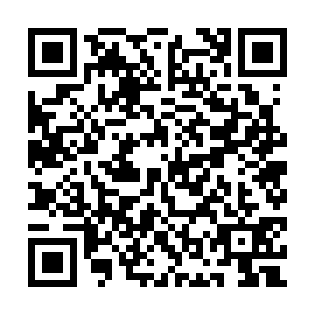 QR code for QOW3313