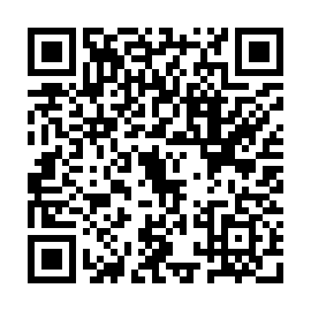 QR code for QQI9393