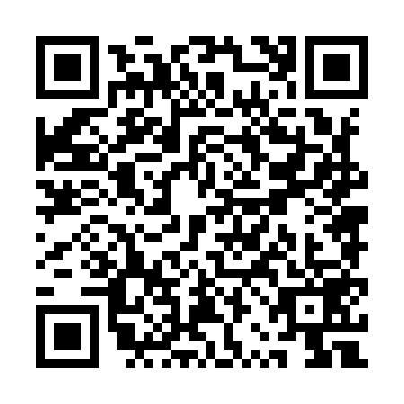 QR code for QRN9593