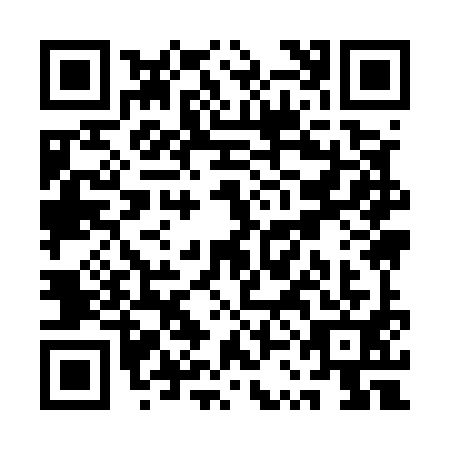 QR code for QSI5919