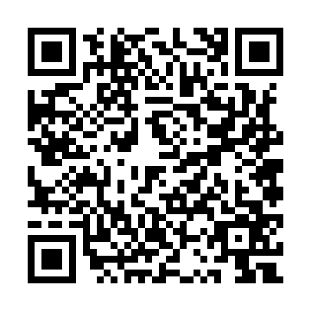 QR code for QSV9667
