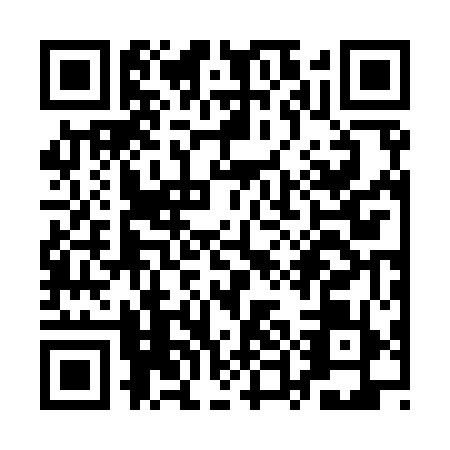QR code for QUB9596