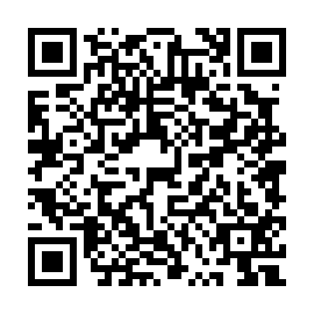 QR code for QVD0133