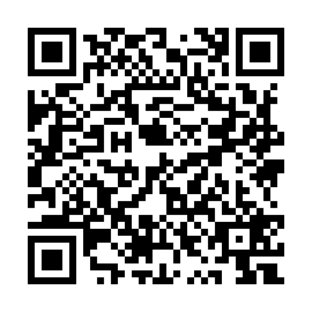 QR code for QYI9293