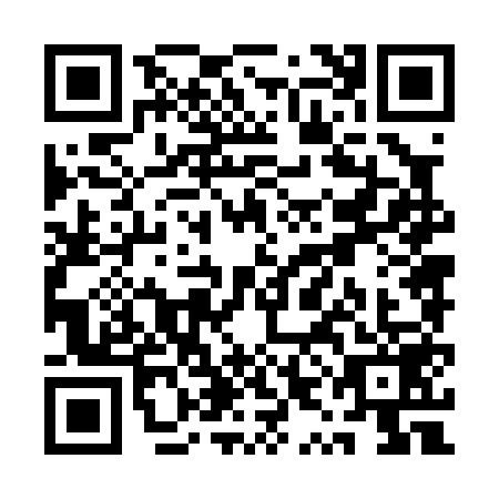 QR code for QYN0592