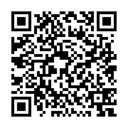 QR code for QYP7395