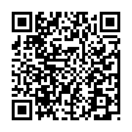 QR code for QYR0017