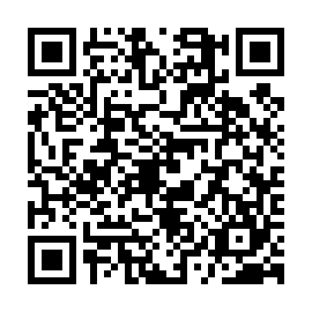 QR code for QYS4646