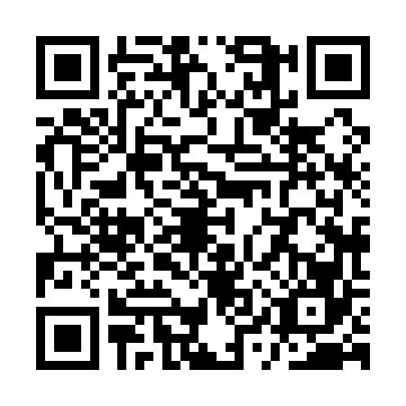 QR code for QYX1663