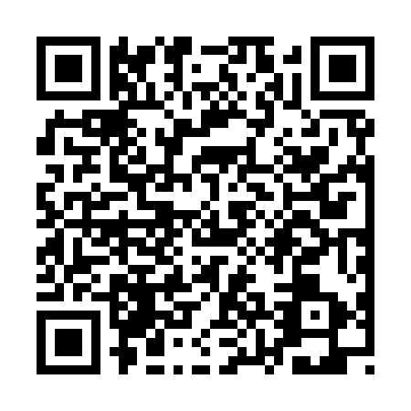 QR code for QZB9539
