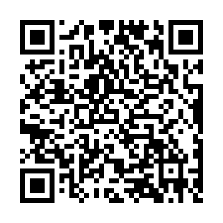 QR code for QZD0603