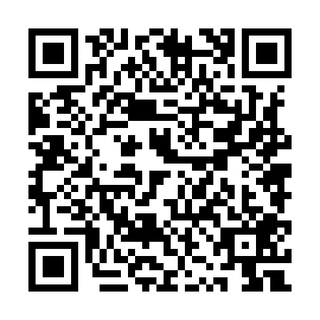 QR code for QZN9095