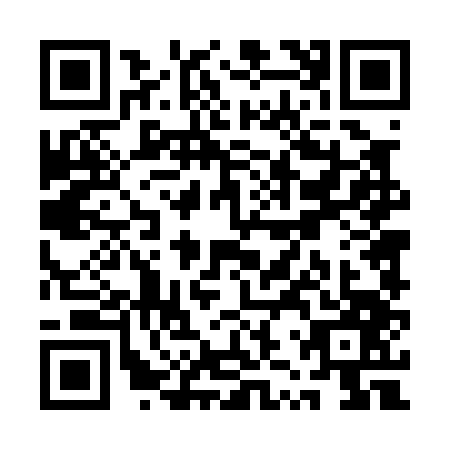 QR code for QZT0478