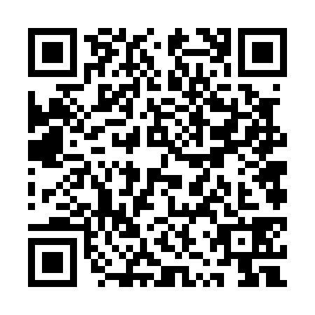 QR code for QZV0389