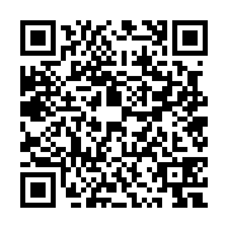 QR code for QZW0381
