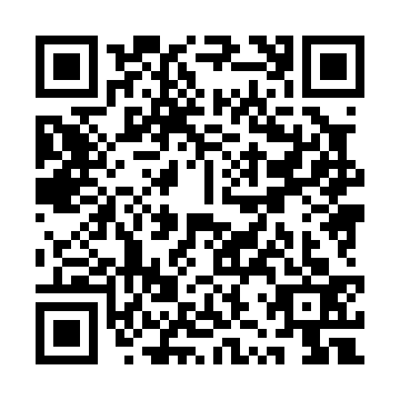QR code for QZX0336