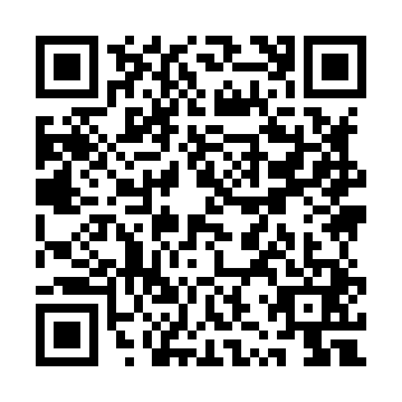 QR code for QZY8419
