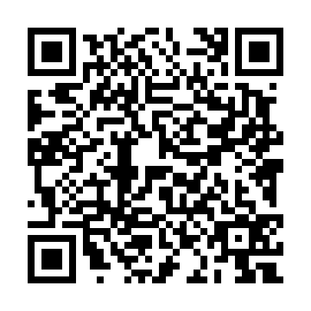 QR code for RAL4365