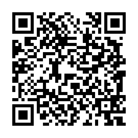 QR code for RAL4993