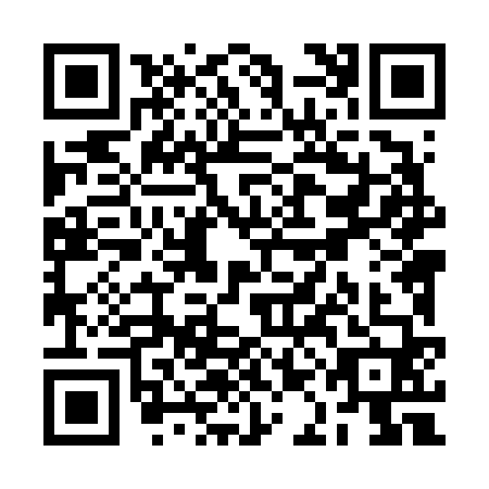 QR code for RAL6608
